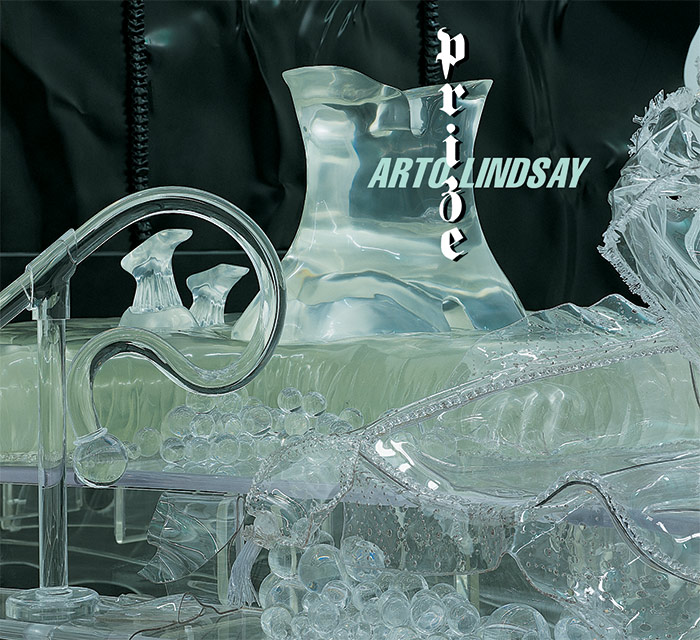 Arto Lindsay - Prize