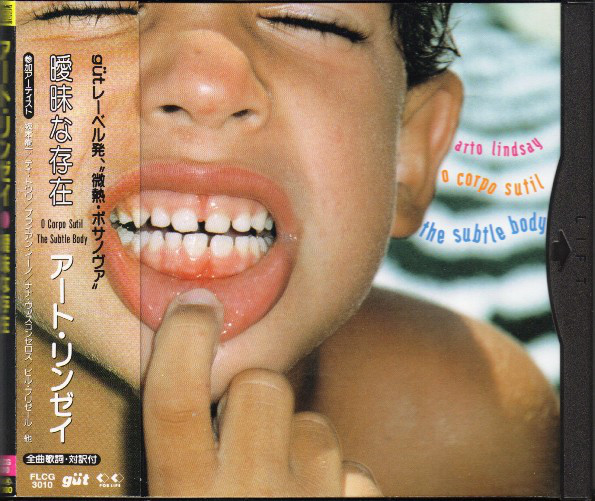 Arto Lindsay, o corpo sutil