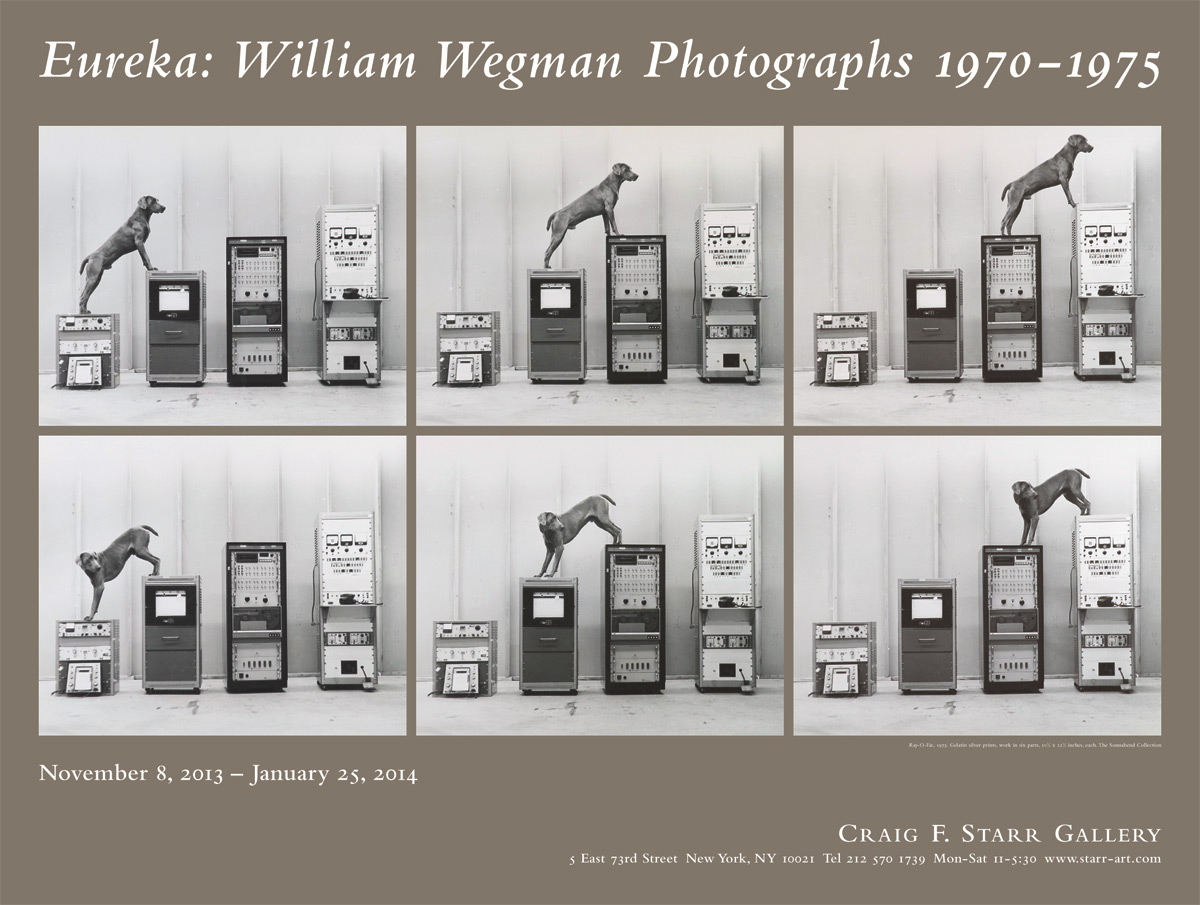 Eureka: William Wegman Photographs 1970–1975, Craig Starr Gallery exhibition poster, November 2013 - January 2014